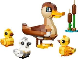 Famille de canards