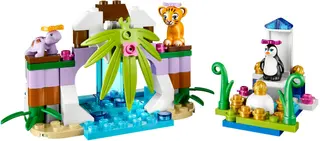 Turtle's Little Paradise