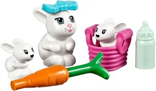 Bunny & Babies