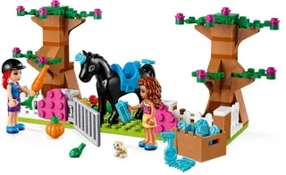 Heartlake City Brick Box