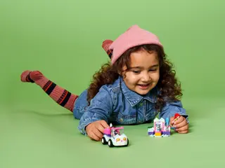 Katzenpflegeauto