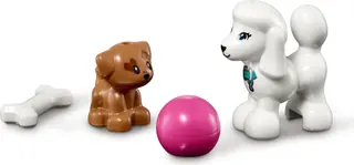 Hundetagesstätte
