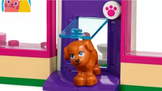 Dierenadoptiecafé