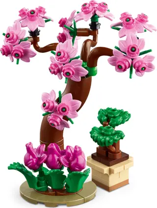Botanical Garden