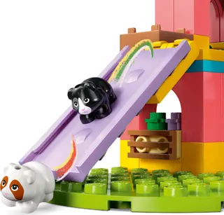 Guinea Pig Playground