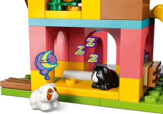 Guinea Pig Playground