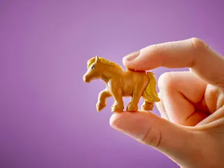 Pony Ranch & Stall