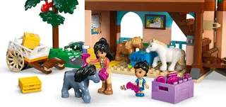 Pony Ranch & Stall