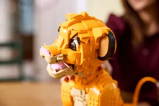Der junge Simba, der König der Löwen