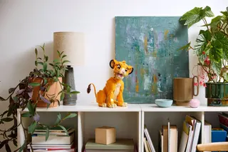 Der junge Simba, der König der Löwen