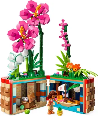 Le pot de fleurs de Moana
