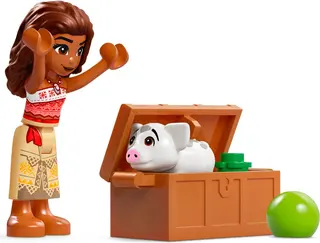Le pot de fleurs de Moana
