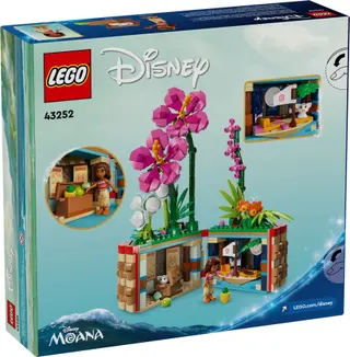 Le pot de fleurs de Moana
