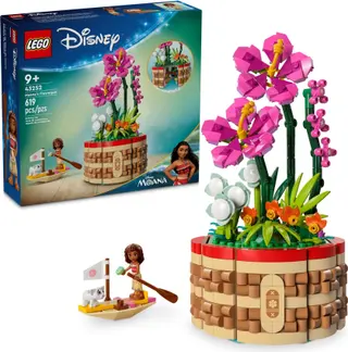Le pot de fleurs de Moana