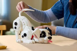 Chiots des 101 Dalmatiens
