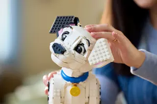 Chiots des 101 Dalmatiens
