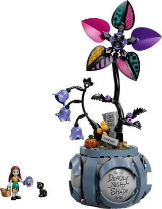 Le pot de fleurs de Sally
