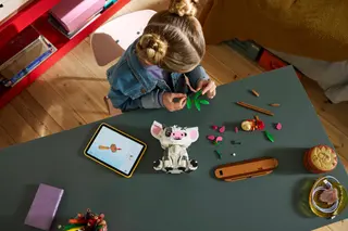Pua