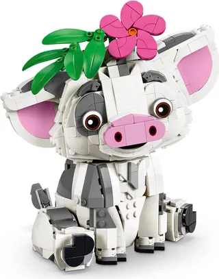 Pua