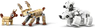 Wetenschapskit Arctische dieren