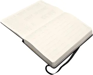 Moleskine 2014 Large Daily Planner