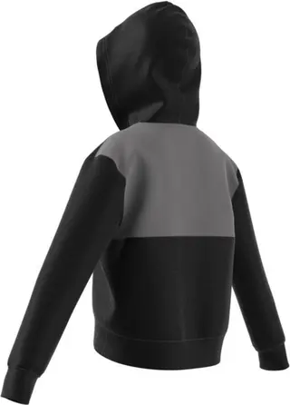 Adidas Bricks Boxy Hoodie