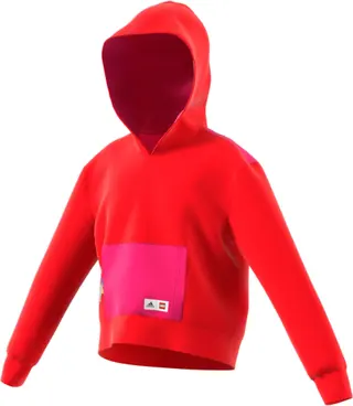 Adidas Bricks Boxy Hoodie