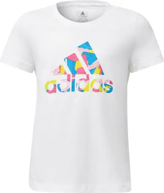 Adidas Graphic T Shirt