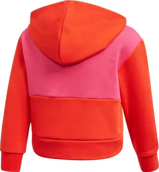 Adidas hoodie en broek set