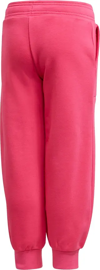Adidas hoodie en broek set