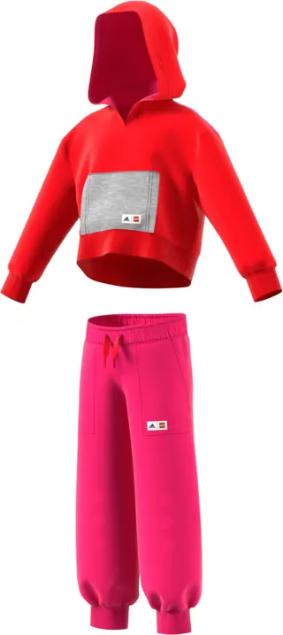 Adidas hoodie en broek set