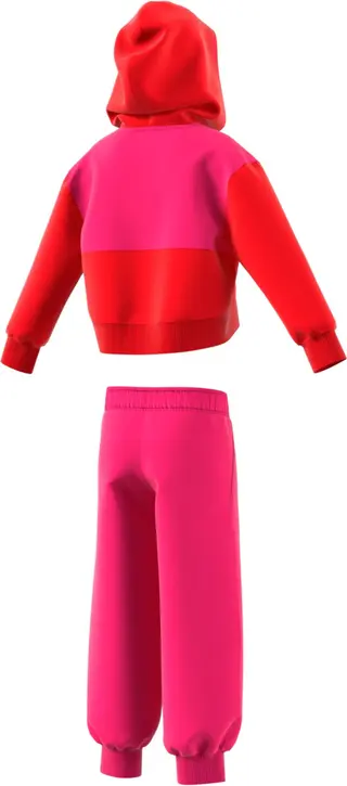 Adidas hoodie en broek set