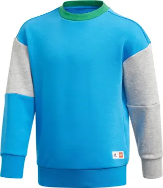 Adidas sweatshirt en broek set