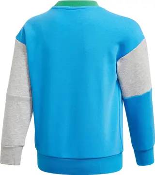 Adidas sweatshirt en broek set