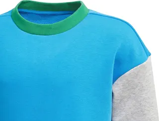 Adidas sweatshirt en broek set