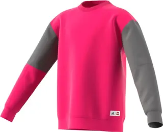 Adidas Bricks Sweatshirt