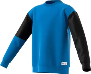 Sweat-shirt Adidas Bricks