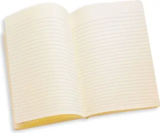 Carnet Yoda