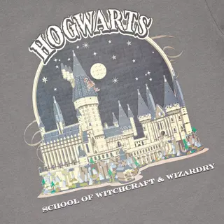 T-shirt Harry Potter gris