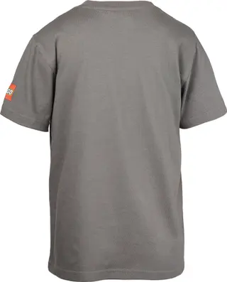 T-shirt Harry Potter gris