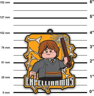 Expelliarmus-Magnet