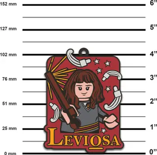 Aimant Leviosa