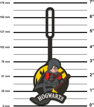 Étiquette de sac de Quidditch Harry Potter