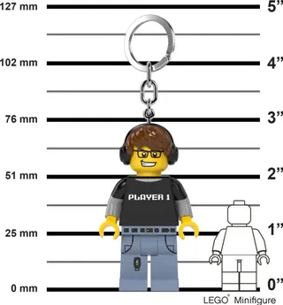 Video Game Guy Key Light