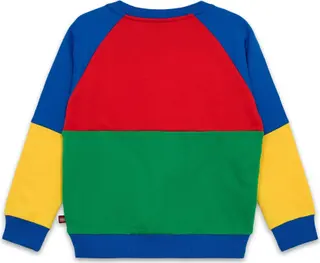 Kinder-Sweatshirt mit Farbblockmuster