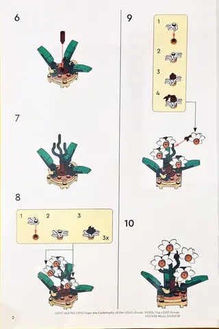 Micro-orchidee