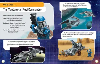 Mandalorian Warriors