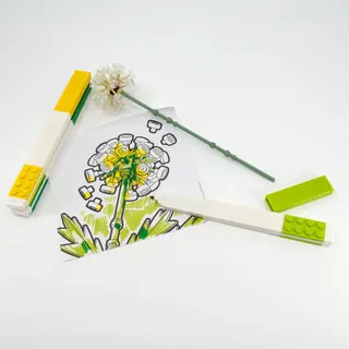 Creativity Set – Botanicals