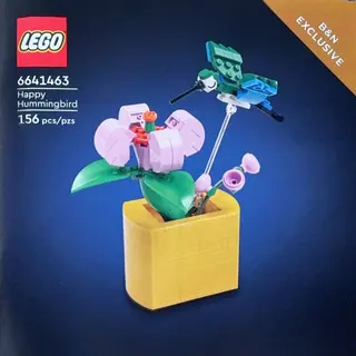 Fröhlicher Kolibri