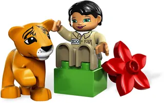 Animal Care